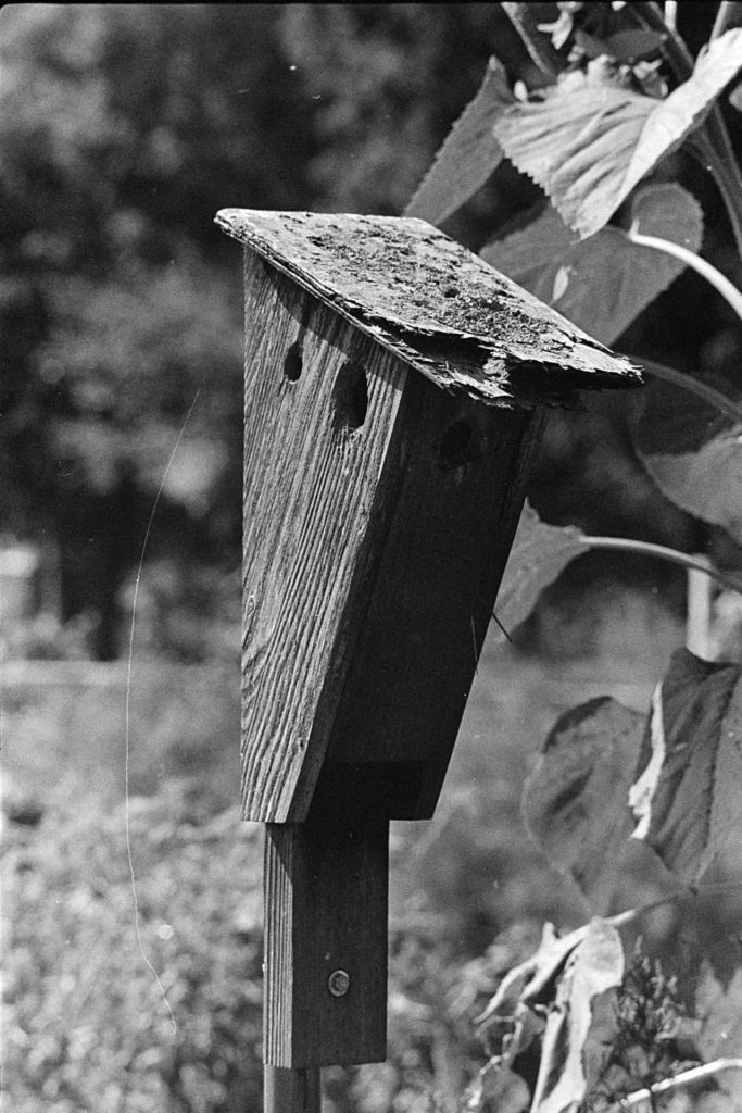 A black and white photo of a wooden birdhouse. The front of the birdhouse is in deep shadow and barely visible.