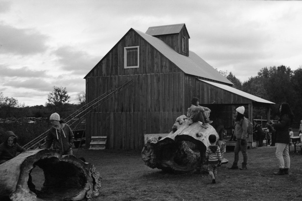 A black and white photo. In the background is a wooden barn. In the foreground are large hollowed out pieces of tree trunk where kids are playing.