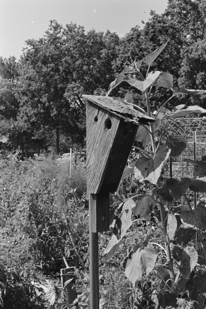 A black and white photo of a wooden birdhouse. The face of the birdhouse is in deep shadow with very little detail.