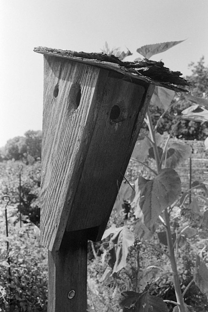 A close up black and white photo of a wooden birdhouse. The face of the birdhouse is in shadow, but visible.