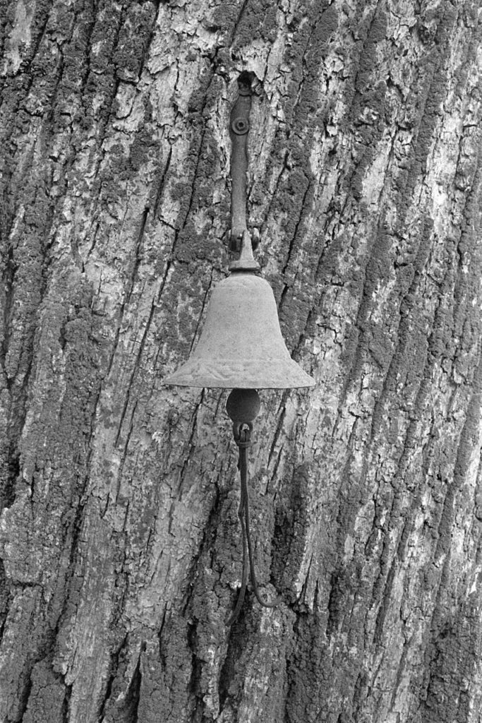 A black and white photo of a small metal bell attached to the trunk of a tree. Dangling from the bottom of the bell is a strap attached to the clapper.