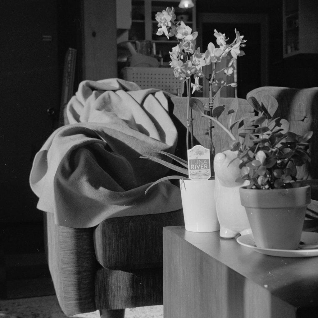 A black and white still-life photo of a living room couch and coffee table. On the edge of the coffee table are 3 small potted plants.